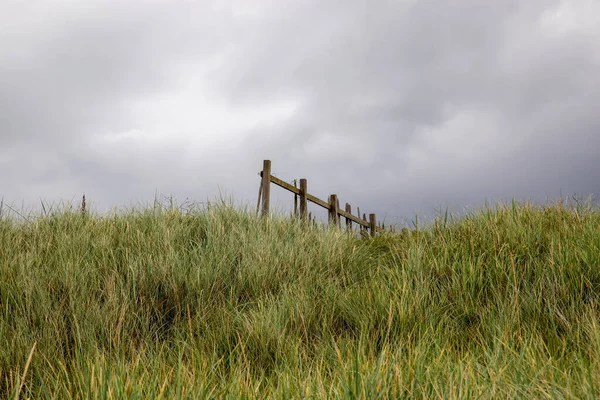 Old Timber Fence Section Grass Overcast Sky Coastal Path Verge — Stock Photo, Image