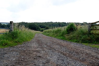 Kırsal kesimde bir yaz sabahı kırsal kesimde çiftliğe giriş pisti