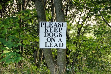 Eski el, lütfen köpekleri bir taşra konutunda bir işaret levhasında tut.