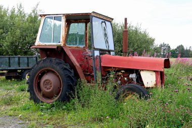 Terk edilmiş ve terk edilmiş eski bir çiftlik traktörü. Çiftlik arazisinin aşırı gelişmiş bir köşesinde.