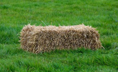 Bir kır gösterisinde çimenli bir arazide bulunan dikdörtgen bir saman balyası.