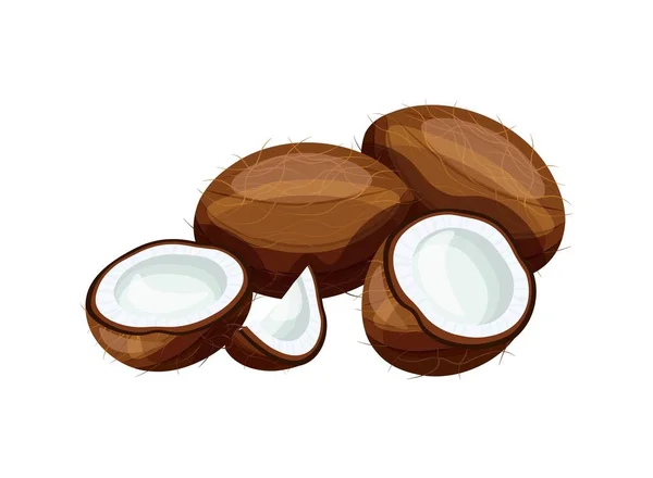 Köstliche Kokosnüsse Isoliert Auf Weißem Hintergrund Vektorillustration Köstlicher Ganzer Und — Stockvektor