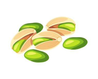Beyaz arka planda Pistachios izole edilmiş. Çizgi film tarzında bir avuç lezzetli kabuklu ve soyulmuş şam fıstığının vektör çizimi. Fıstık ikonu. Sağlıklı, organik atıştırmalıklar..
