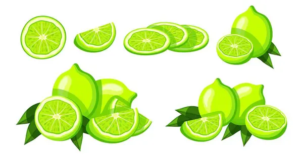 Set Green Limes Cartoon Style Vector Illustration Delicious Fresh Juicy Vector Graphics