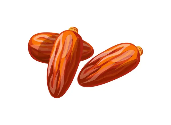Dates Dried Fruit Isolated White Background Vector Illustration Dates Flat Royalty Free Stock Illustrations