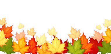 Çizgi film tarzında akçaağaç yapraklı sonbahar arkaplanı. Farklı renk ve boylarda akçaağaç yapraklarının vektör çizimi: sarı, yeşil, turuncu, kırmızı, beyaz arka planda izole edilmiş. Sonbahar duvar kağıdı.