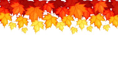  Çizgi film tarzında düşen akçaağaç yapraklarıyla sonbahar arkaplanı. Akçaağaç renkli yaprakların vektör çizimi: sarı, turuncu, kırmızı, bordo, beyaz arka planda izole. Sonbahar sezonu. Sancak. Duvar kağıdı..