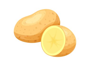 Çizgi film tarzında taze patates. Lezzetli patatesin vektör çizimi: beyaz arka planda tam ve yarısı izole. Soyulmuş ve soyulmamış patatesler. Sağlıklı yiyecekler. Sebzeler. Hasat et. Kök ekinler.
