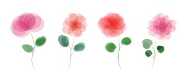 Suluboya çiçek takımı. Botanik illüstrasyon beyaz arkaplanda izole edildi. Vektör çiçek seti. Davetiye, düğün ya da tebrik kartları için bahar ya da yaz tasarımı. Aquarelle pembe ve kırmızı çiçekleri çizgi film tarzında.