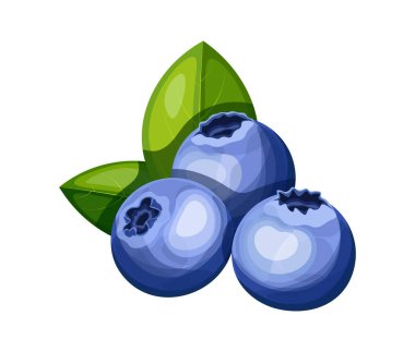  Çizgi film tarzında bir sürü olgun yabanmersini. Böğürtlenli, yeşil yapraklı, beyaz arka planda izole edilmiş bir grup yaban mersininin vektör çizimi. Sağlıklı atıştırmalıklar. Vitamin meyveleri.