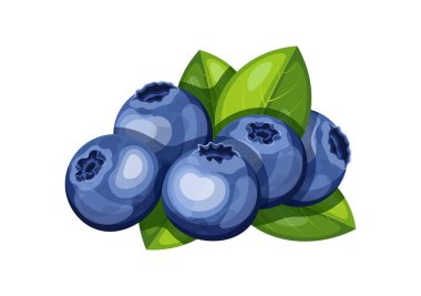 Çizgi film tarzında yaban mersini yığını. Beyaz arka planda yeşil yapraklı lezzetli, taze yaban mersinlerinin vektör çizimi. Sağlıklı beslenme. Vitamin meyveli atıştırmalık..