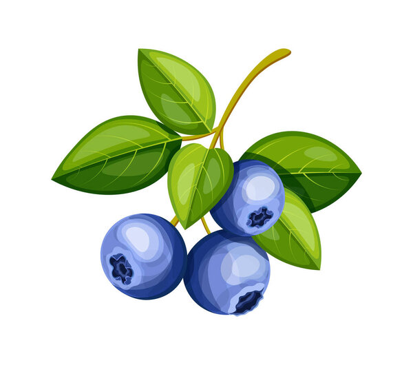 A branch of juicy blue blueberries in cartoon style. Vector illustration of delicious blueberries with green leaves on a small branch, isolated on a white background. Healthy snack. Vitamin berries.