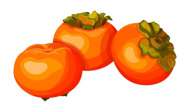  Çizgi film tarzında bir grup tatlı, sulu hurma. Beyaz arka planda izole edilmiş taze hurma meyvelerinin vektör çizimi. Yeşil yapraklı turuncu tropikal hurma kompozisyonu.