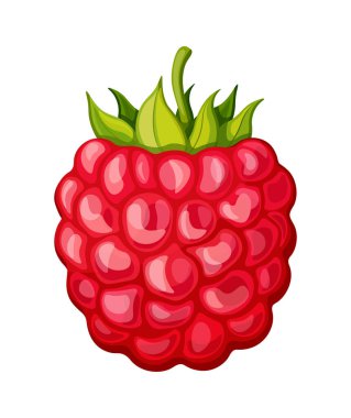 Çizgi film tarzında taze ahududu. Beyaz arka planda izole edilmiş yeşil saplı tatlı ahududu temsili. Sağlıklı, vitamin meyveleri. Yaz atıştırmaları.