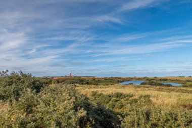 Den Helder, Hollanda. Ekim 2022. Den Helder 'deki Grafelijkheidsduinen' deki kum manzarası. Yüksek kalite fotoğraf