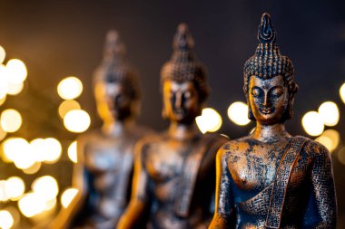 Hollanda 'da. Ekim 2022. Buda heykeli sakin bir duruş içinde. Shakyamuni Buddha üç dünya dininden biri olan ruhani bir öğretmendir. Yüksek kalite fotoğraf