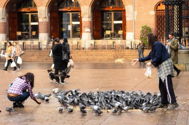 Amsterdam, Hollanda. Ekim 2022. Amsterdam 'da Damrak' tan beslenen güvercinler. Yüksek kalite fotoğraf