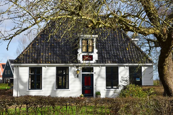 Broek Waterland Países Bajos Febrero 2023 Las Fachadas Madera Casas — Foto de Stock