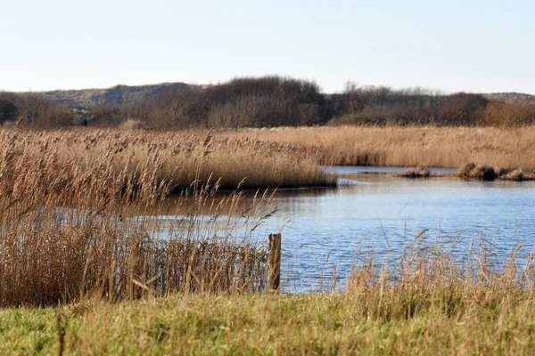 stock image Den Helder, Netherlands. February 2023. The Grafelijkheidsduinen in Den Helder, Netherlands. High quality photo