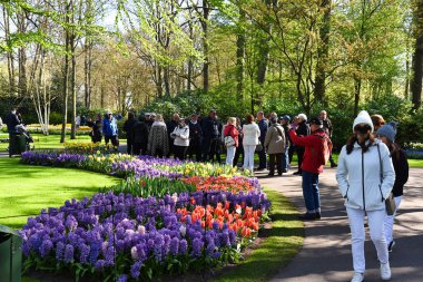Lisse, Hollanda 'dan. Nisan 2023. Hollanda 'da büyük bir bahar bahçesi olan Keukenhof' u ziyaret edenler. Yüksek kalite fotoğraf