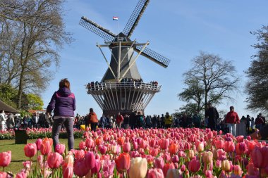Lisse, Hollanda 'dan. Nisan 2023. Hollanda 'da büyük bir bahar bahçesi olan Keukenhof' u ziyaret edenler. Yüksek kalite fotoğraf