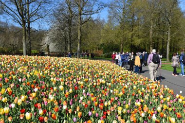 Lisse, Hollanda 'dan. Nisan 2023. Hollanda 'da büyük bir bahar bahçesi olan Keukenhof' u ziyaret edenler. Yüksek kalite fotoğraf