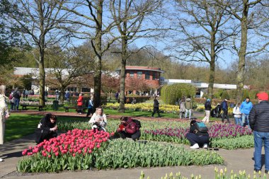 Lisse, Hollanda 'dan. Nisan 2023. Hollanda 'da büyük bir bahar bahçesi olan Keukenhof' u ziyaret edenler. Yüksek kalite fotoğraf