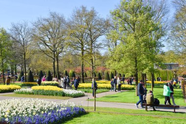 Lisse, Hollanda 'dan. Nisan 2023. Hollanda 'da büyük bir bahar bahçesi olan Keukenhof' u ziyaret edenler. Yüksek kalite fotoğraf