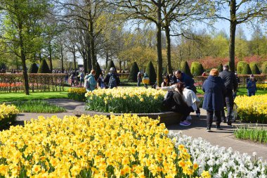 Lisse, Hollanda 'dan. Nisan 2023. Hollanda 'da büyük bir bahar bahçesi olan Keukenhof' u ziyaret edenler. Yüksek kalite fotoğraf