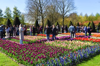 Lisse, Hollanda 'dan. Nisan 2023. Hollanda 'da büyük bir bahar bahçesi olan Keukenhof' u ziyaret edenler. Yüksek kalite fotoğraf