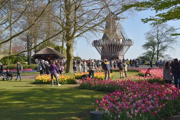 Lisse, Hollanda 'dan. Nisan 2023. Hollanda 'da büyük bir bahar bahçesi olan Keukenhof' u ziyaret edenler. Yüksek kalite fotoğraf