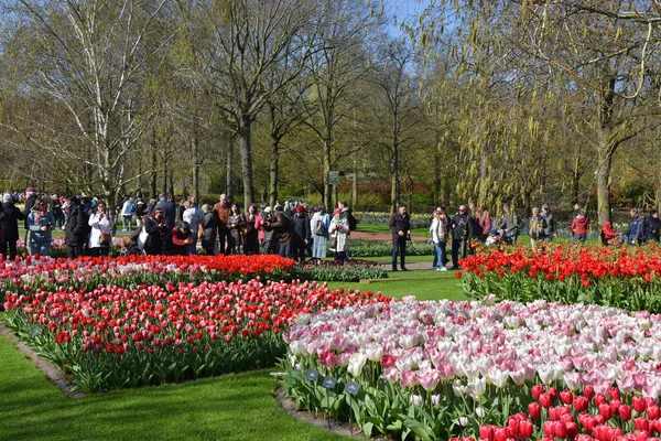 Lisse Nederland April 2023 Bezoekers Van Keukenhof Een Grote Lentetuin — Stockfoto