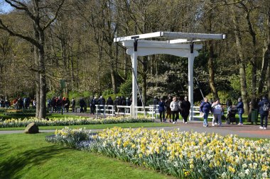 Lisse, Hollanda 'dan. Nisan 2023. Hollanda 'da büyük bir bahar bahçesi olan Keukenhof' u ziyaret ediyorlar. Yüksek kalite fotoğraf