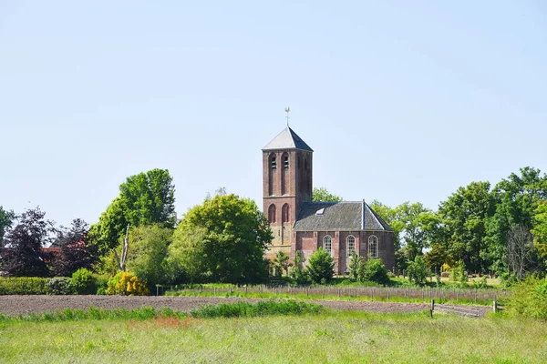 Вестерленд Нидерланды Июня 2023 Года Старая Церковь Вестерленда Высокое Качество — стоковое фото