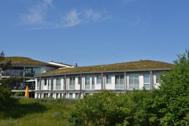 Den Helder, Hollanda. 3 Haziran 2023. Bir apartmanın çevre dostu yeşil çatısı. Yüksek kalite fotoğraf