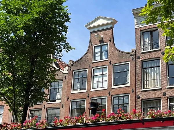 Amsterdam Holandia Czerwca 2023 Wzgórza Wzdłuż Kanałów Amsterdamu Wysokiej Jakości — Zdjęcie stockowe