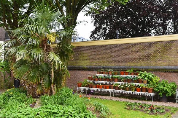 stock image utrecht, Netherlands. May 8, 2023. One of the gardens of the canalhouses in Utrecht. High quality photo