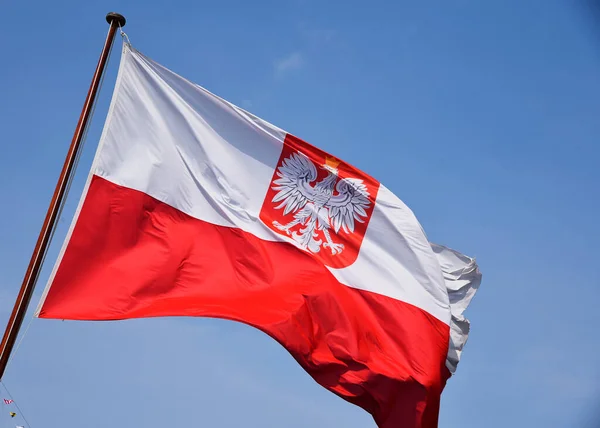 Den Helder Nederland Juni 2023 Poolse Vlag Wappert Wind Hoge — Stockfoto