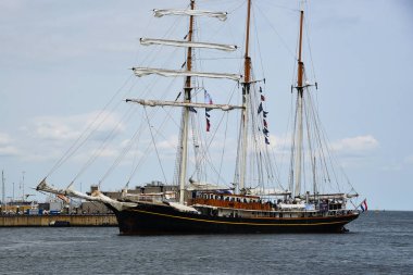 Den Helder, Hollanda. 30 Haziran 2023. Den Helder limanında çeşitli yelkenliler ve uzun gemiler. Yüksek kalite fotoğraf
