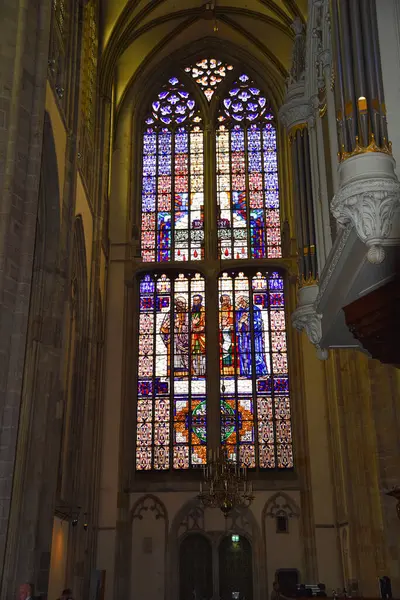 Utrecht Niederlande Mai 2023 Das Innere Der Domkirche Mit Glasfenstern — Stockfoto