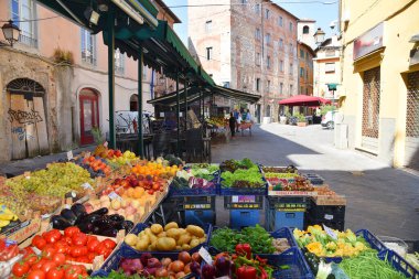 Pisa, İtalya. 19 Eylül 2023. Pisa, Toskana 'da meyve ve sebze pazarı. Yüksek kalite fotoğraf