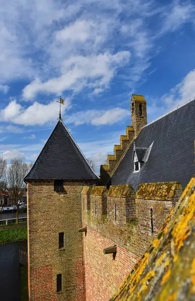 Medemblak Ολλανδία Μαρτίου 2024 Μεσαιωνικό Κάστρο Radboud Στο Medemblak Υψηλής Royalty Free Εικόνες Αρχείου