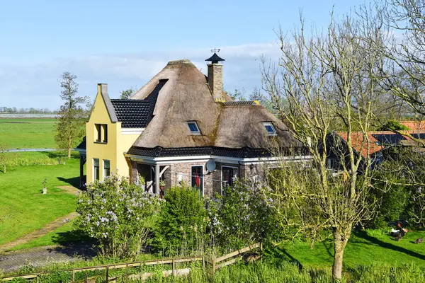 Stock image Grootebroek, Nethrlands. April 20, 2024. Traditional dutch farm houses. High quality photo