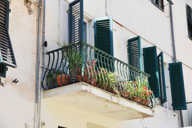 Lucca, İtalya. 17 Eylül 2024. Lucca, İtalya 'nın eski merkezinde bitkilerle dolu bir balkon. Yüksek kalite fotoğraf