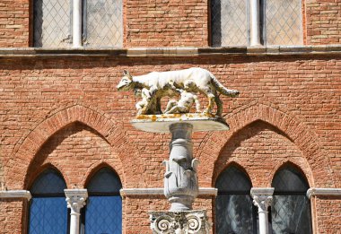 Siena, İtalya. 16 Eylül 2024 Remus ve Romulus, Roma, İtalya 'nın kurucuları. Yüksek kalite fotoğraf