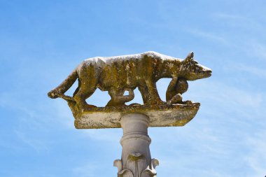 Siena, İtalya. 16 Eylül 2024 Remus ve Romulus, Roma, İtalya 'nın kurucuları. Yüksek kalite fotoğraf