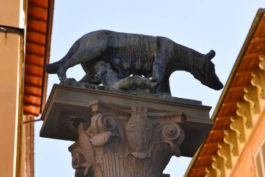 Siena, İtalya. 16 Eylül 2024 Remus ve Romulus, Roma, İtalya 'nın kurucuları. Yüksek kalite fotoğraf