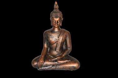 Den Helder, Hollanda. 17 Ocak 2025. İzole edilmiş bir Buda. Yüksek kalite fotoğraf