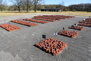 Westerbork, Hollanda. 19 Mart 2025. Hollanda 'daki eski Westerbork transit kampındaki anma töreni. Yüksek kalite fotoğraf
