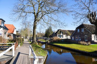 Giethoorn, Hollanda. 19 Mart 2025. Hollanda 'nın Giethoorn köyünde sazdan çatıları olan eski çiftlik evleri. Yüksek kalite fotoğraf